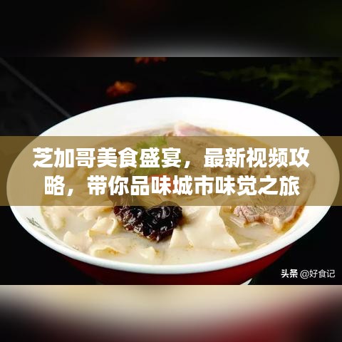 芝加哥美食盛宴，最新視頻攻略，帶你品味城市味覺(jué)之旅