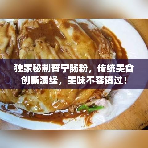 獨家秘制普寧腸粉，傳統(tǒng)美食創(chuàng)新演繹，美味不容錯過！