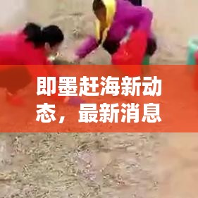 即墨趕海新動(dòng)態(tài)，最新消息一網(wǎng)打盡！