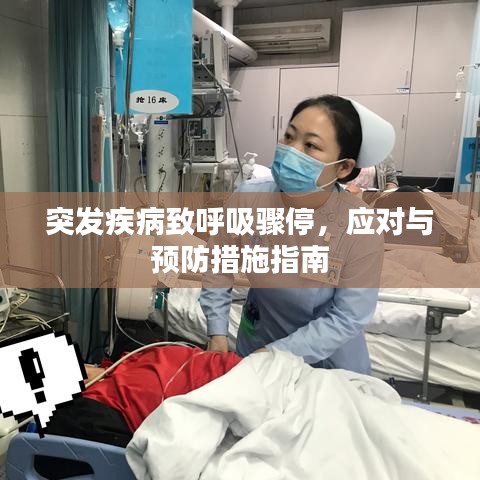 突發(fā)疾病致呼吸驟停，應對與預防措施指南