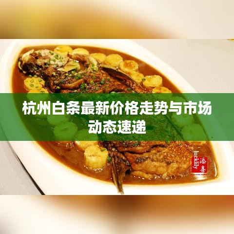 杭州白條最新價格走勢與市場動態(tài)速遞