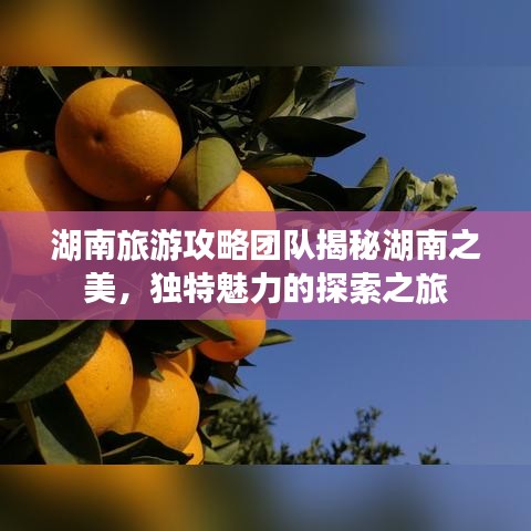 湖南旅游攻略團(tuán)隊揭秘湖南之美，獨特魅力的探索之旅