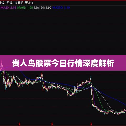 貴人鳥股票今日行情深度解析