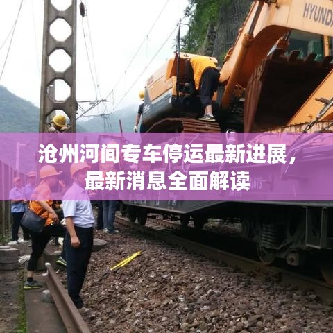 滄州河間專車停運(yùn)最新進(jìn)展，最新消息全面解讀
