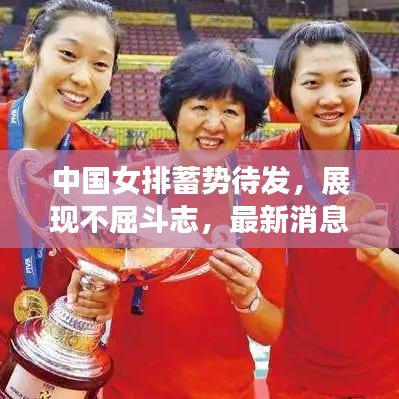 中國女排蓄勢待發(fā)，展現(xiàn)不屈斗志，最新消息引關(guān)注！