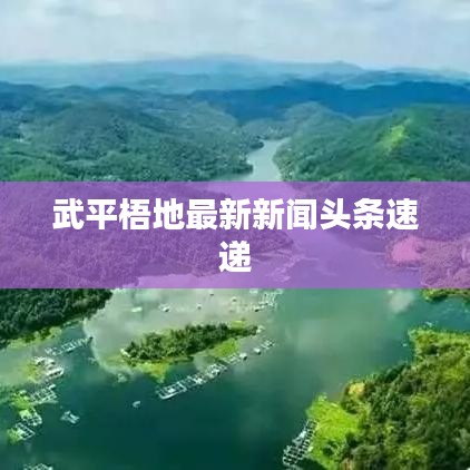 武平梧地最新新聞?lì)^條速遞