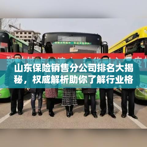 山東保險銷售分公司排名大揭秘，權(quán)威解析助你了解行業(yè)格局！