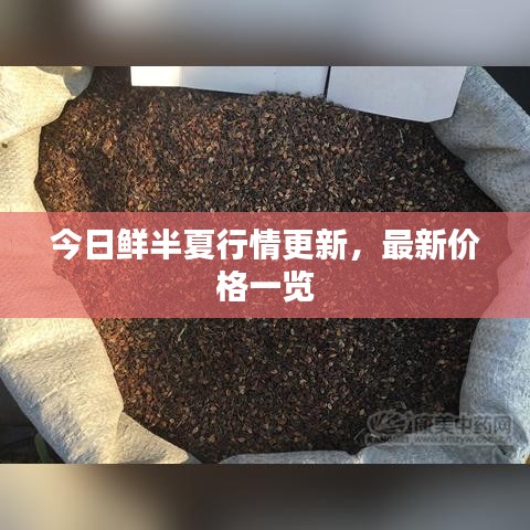 今日鮮半夏行情更新，最新價(jià)格一覽