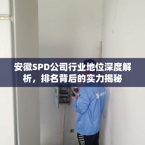 安徽SPD公司行業(yè)地位深度解析，排名背后的實力揭秘