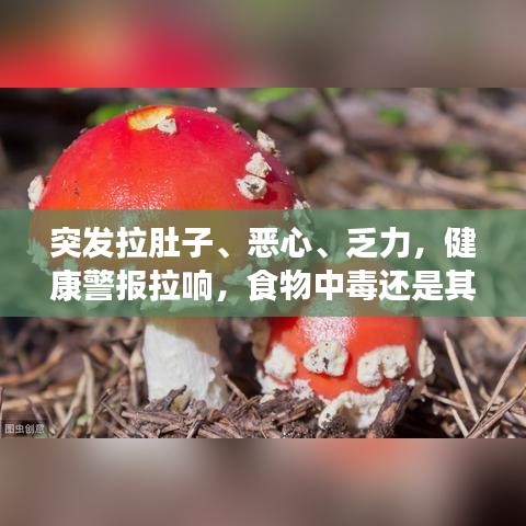 突發(fā)拉肚子、惡心、乏力，健康警報(bào)拉響，食物中毒還是其他健康問(wèn)題？