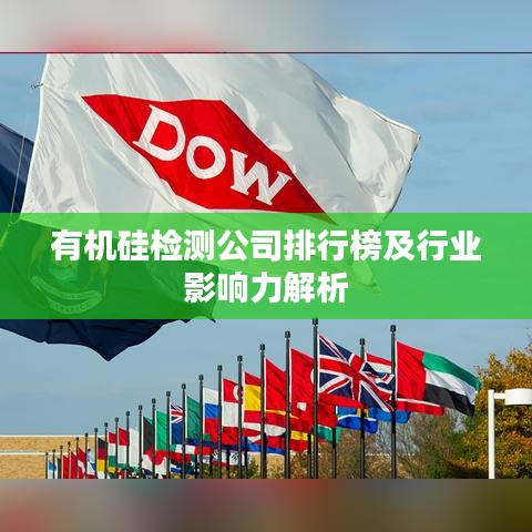 有機硅檢測公司排行榜及行業(yè)影響力解析