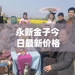 永新金子今日最新價格查詢報告