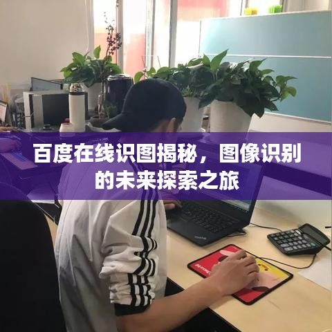 百度在線識圖揭秘，圖像識別的未來探索之旅