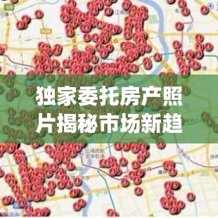 獨(dú)家委托房產(chǎn)照片揭秘市場(chǎng)新趨勢(shì)