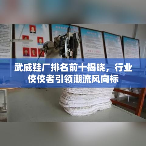 武威鞋廠排名前十揭曉，行業(yè)佼佼者引領(lǐng)潮流風(fēng)向標(biāo)