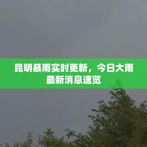 昆明暴雨實時更新，今日大雨最新消息速覽