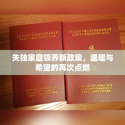 失獨(dú)家庭領(lǐng)養(yǎng)新政策，溫暖與希望的再次點(diǎn)燃