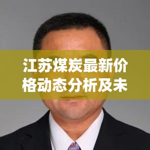 江蘇煤炭最新價(jià)格動(dòng)態(tài)分析及未來展望
