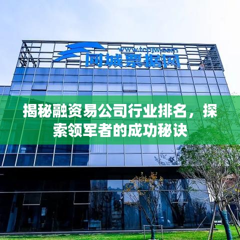 揭秘融資易公司行業(yè)排名，探索領軍者的成功秘訣