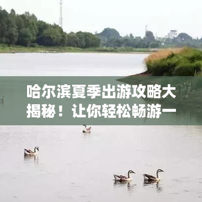 哈爾濱夏季出游攻略大揭秘！讓你輕松暢游一夏！