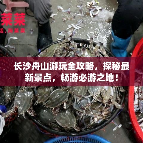 長沙舟山游玩全攻略，探秘最新景點(diǎn)，暢游必游之地！