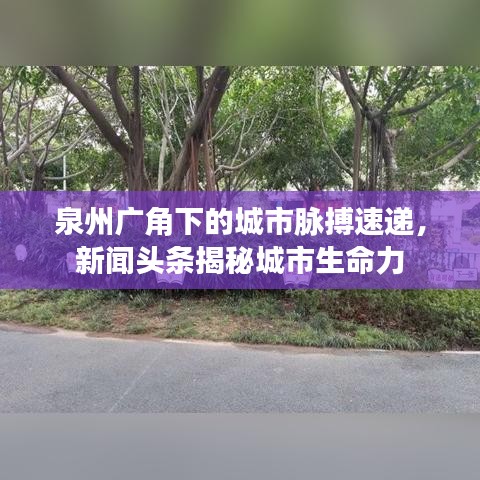 泉州廣角下的城市脈搏速遞，新聞?lì)^條揭秘城市生命力