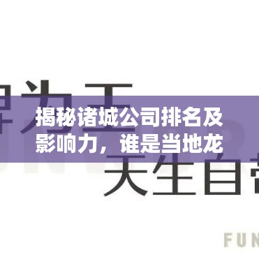 揭秘諸城公司排名及影響力，誰是當(dāng)?shù)佚堫^企業(yè)？