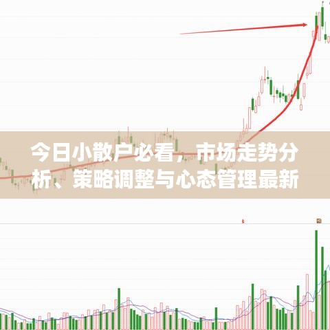今日小散戶必看，市場走勢分析、策略調(diào)整與心態(tài)管理最新報道