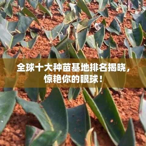 全球十大種苗基地排名揭曉，驚艷你的眼球！