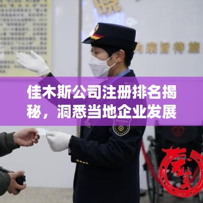 佳木斯公司注冊排名揭秘，洞悉當(dāng)?shù)仄髽I(yè)發(fā)展的龍頭格局