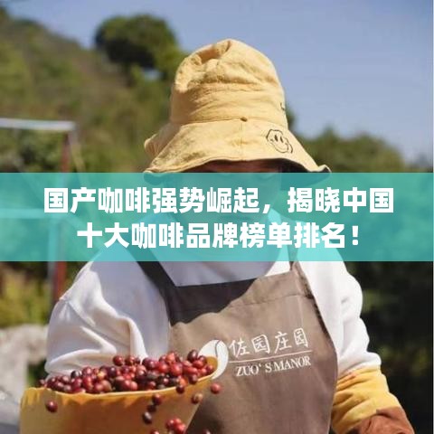 國產(chǎn)咖啡強(qiáng)勢崛起，揭曉中國十大咖啡品牌榜單排名！