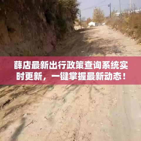 薛店最新出行政策查詢系統(tǒng)實時更新，一鍵掌握最新動態(tài)！