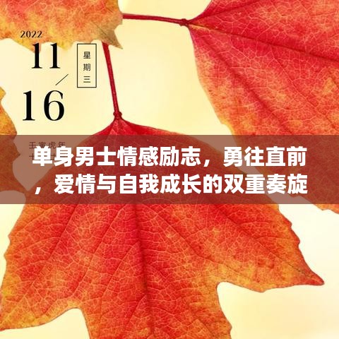 單身男士情感勵志，勇往直前，愛情與自我成長的雙重奏旋律