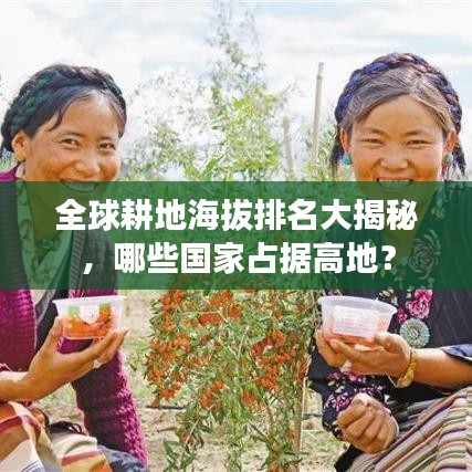全球耕地海拔排名大揭秘，哪些國家占據(jù)高地？