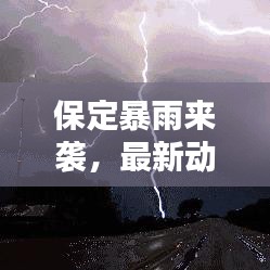 保定暴雨來襲，最新動態(tài)、影響分析與實時消息速遞