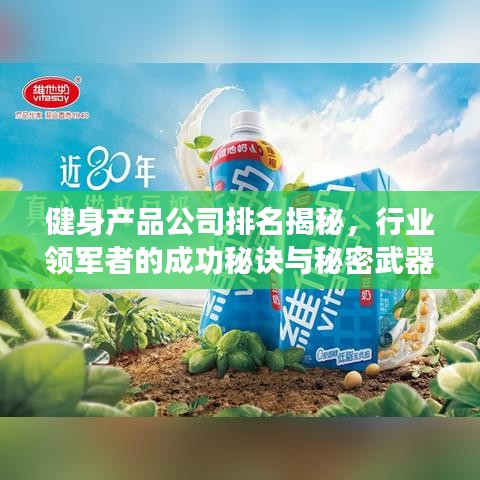健身產(chǎn)品公司排名揭秘，行業(yè)領(lǐng)軍者的成功秘訣與秘密武器