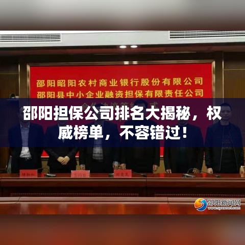邵陽擔(dān)保公司排名大揭秘，權(quán)威榜單，不容錯(cuò)過！