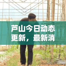 蘆山今日動態(tài)更新，最新消息匯總