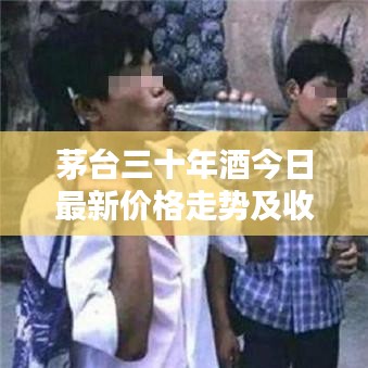 茅臺三十年酒今日最新價格走勢及收藏投資價值深度解析