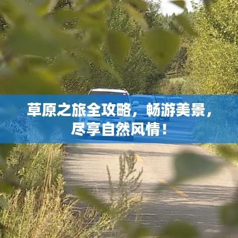 草原之旅全攻略，暢游美景，盡享自然風(fēng)情！