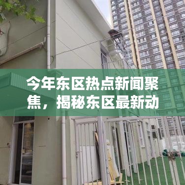 今年?yáng)|區(qū)熱點(diǎn)新聞聚焦，揭秘東區(qū)最新動(dòng)態(tài)