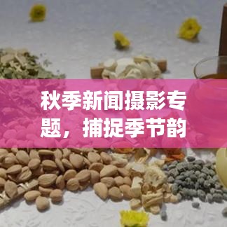 秋季新聞攝影專題，捕捉季節(jié)韻味與時代脈搏的絕美瞬間