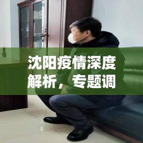 沈陽疫情深度解析，專題調(diào)查報(bào)告