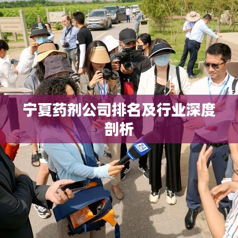 寧夏藥劑公司排名及行業(yè)深度剖析