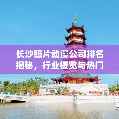 長(zhǎng)沙照片動(dòng)漫公司排名揭秘，行業(yè)概覽與熱門機(jī)構(gòu)榜單
