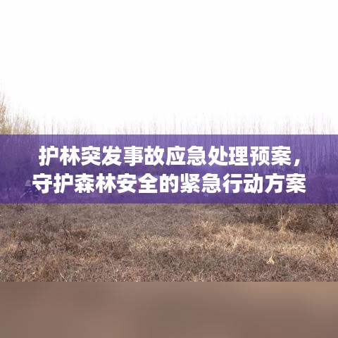 護林突發(fā)事故應急處理預案，守護森林安全的緊急行動方案