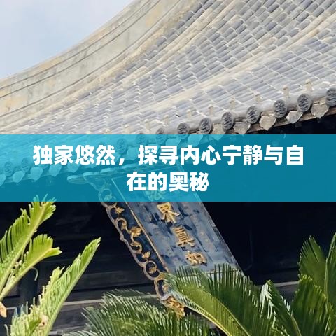 獨(dú)家悠然，探尋內(nèi)心寧靜與自在的奧秘