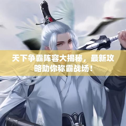 天下爭霸陣容大揭秘，最新攻略助你稱霸戰(zhàn)場！