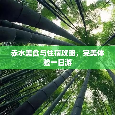 地老天荒