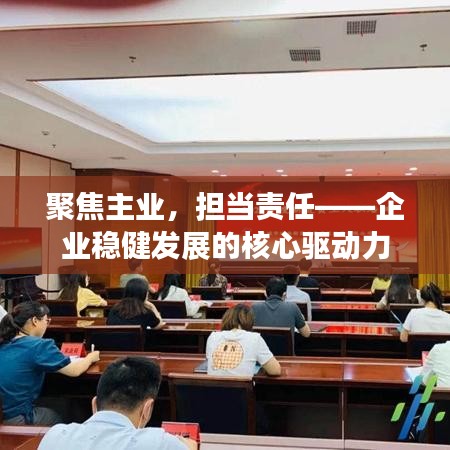 聚焦主業(yè)，擔(dān)當(dāng)責(zé)任——企業(yè)穩(wěn)健發(fā)展的核心驅(qū)動力